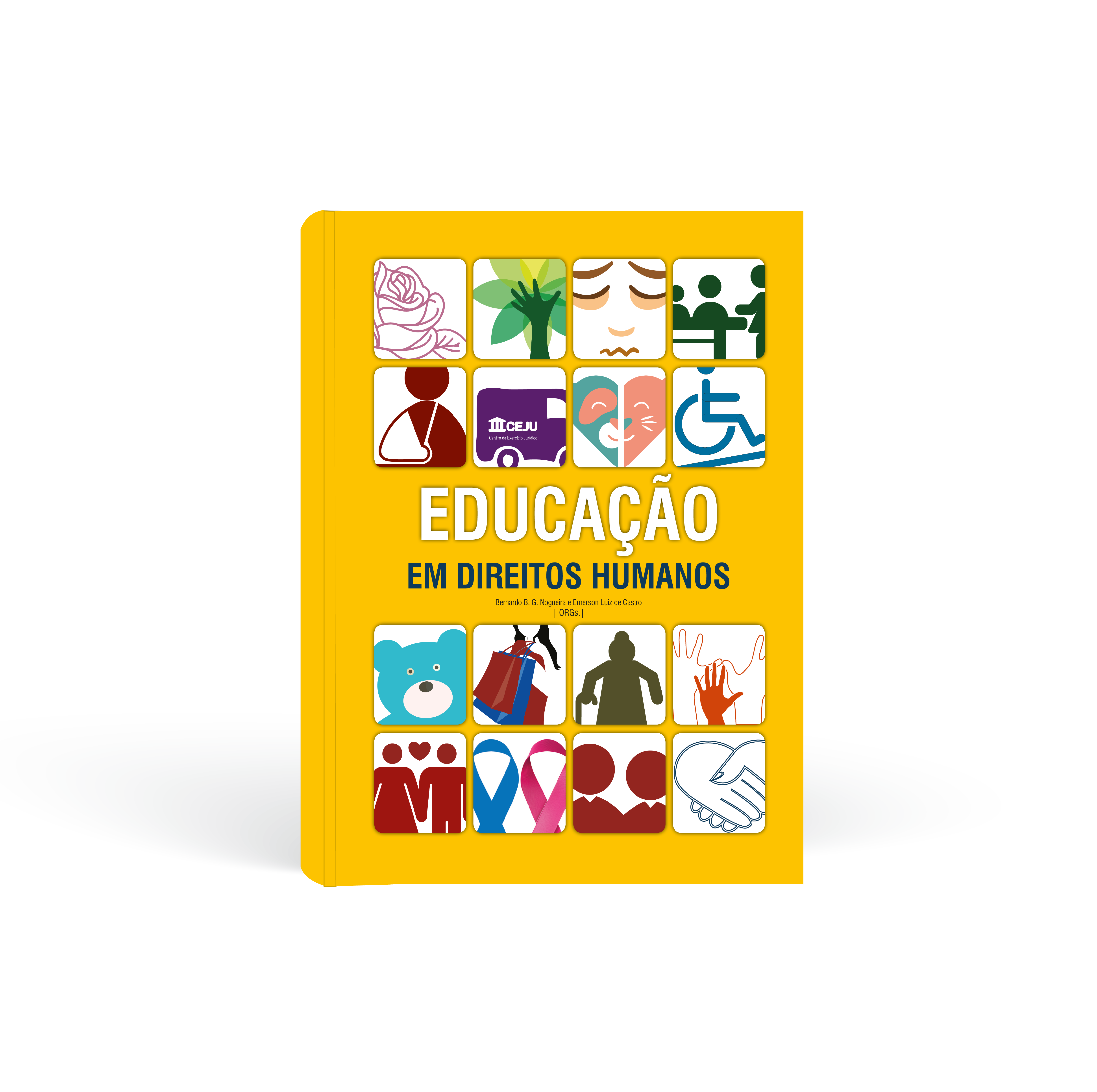 Educação Em Direitos Humanos | Editora Newton Paiva